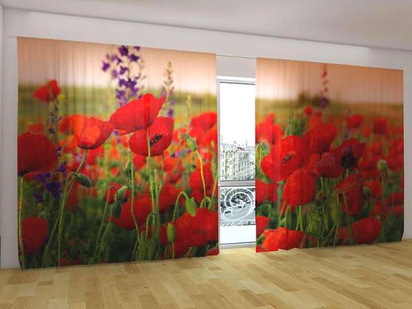 Panorama-Gardine: SCHÖNE MOHNBLUMEN