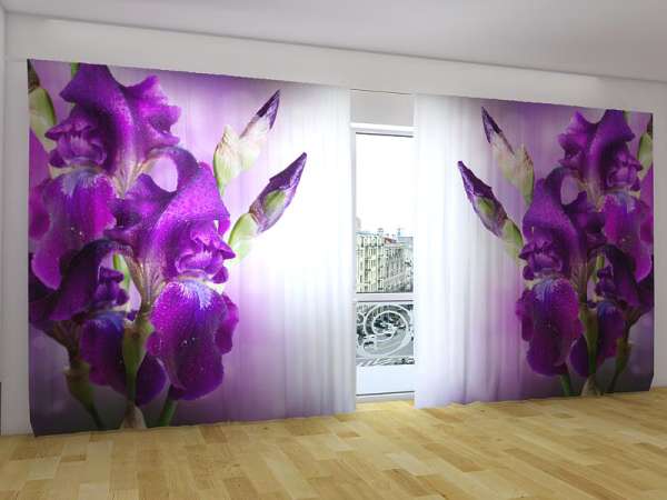 Panorama-Gardine: IRIS IN FARBE LILA