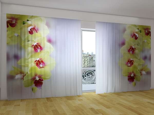 Panorama-Gardine: GELBE ORCHIDEEN