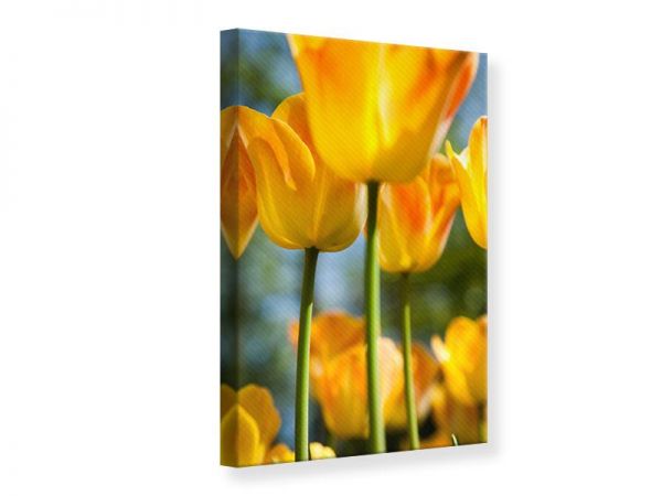 Leinwandbild: IM TULPENBEET (Hochformat)