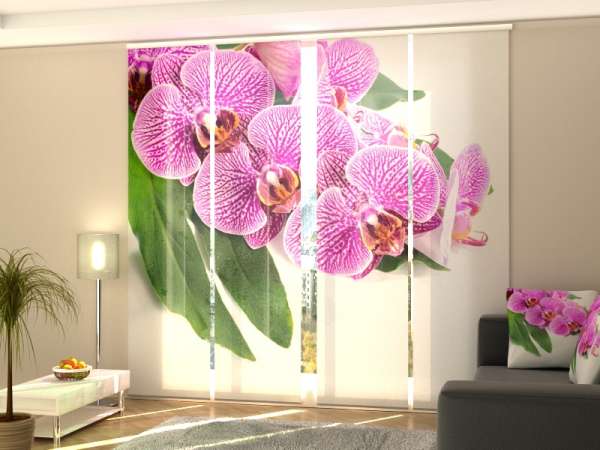 Schiebegardine (1-4 tlg.) ORCHIDEE AUF GRÜNEM BLATT