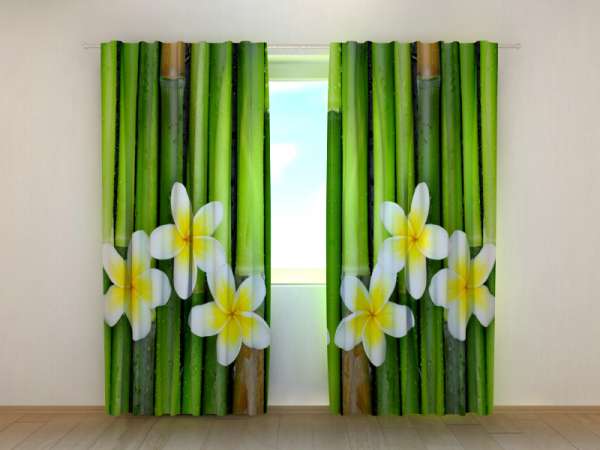 Fotogardine: BAMBUS UND PLUMERIA