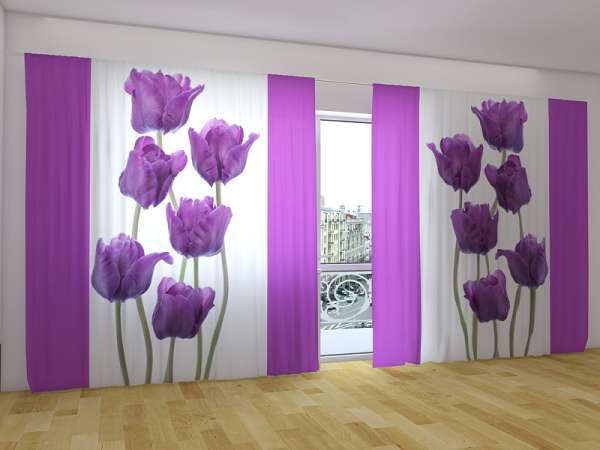 Panorama-Gardine: LILA TULPEN 1