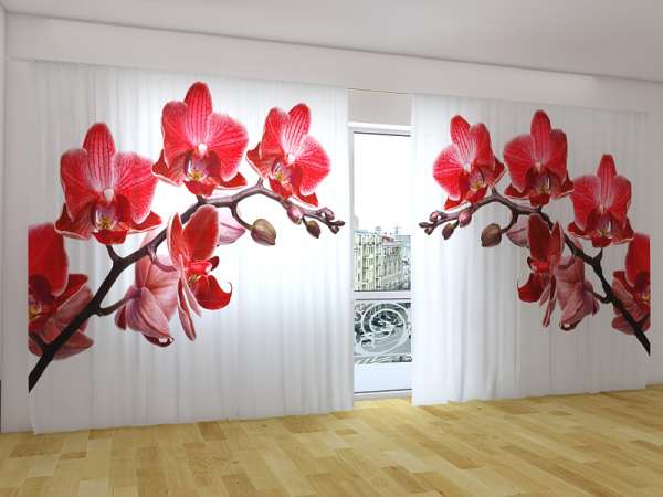 Panorama-Gardine: ORCHIDEENKÖNIGIN