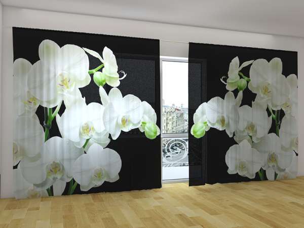 Panorama-Gardine: YIN-YANG ORCHIDEEN