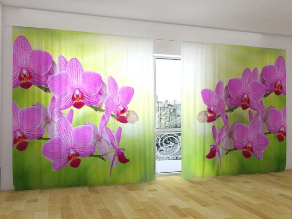 Panorama-Gardine: ROMANTISCHE ORCHIDEE